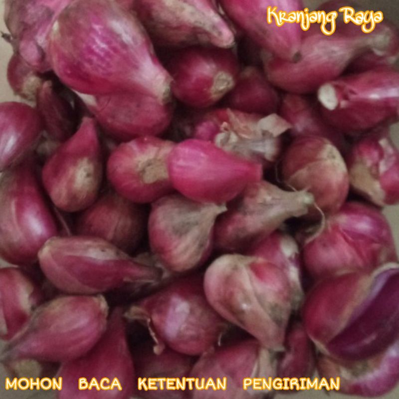 Bawang Merah