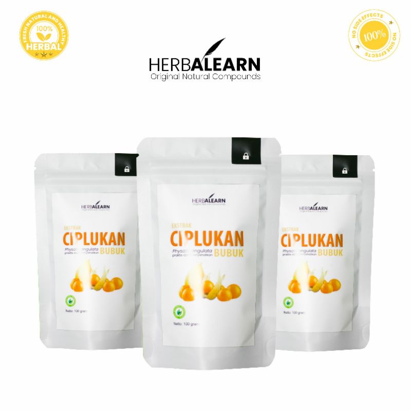 

Ciplukan Bubuk Asli Obat Anti Rematik 350 gr