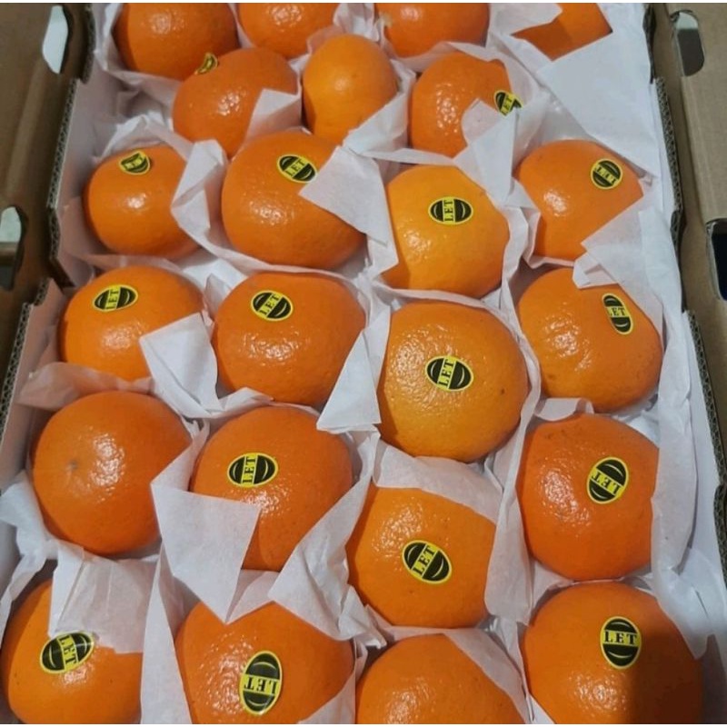 

Jeruk Wokam|Jeruk Wogan 1KG|Buah Fresh Bandung|sandria082