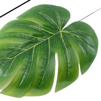 Daun Monstera Dekorasi DT004 Bahan Plastik untuk Hias Ruangan