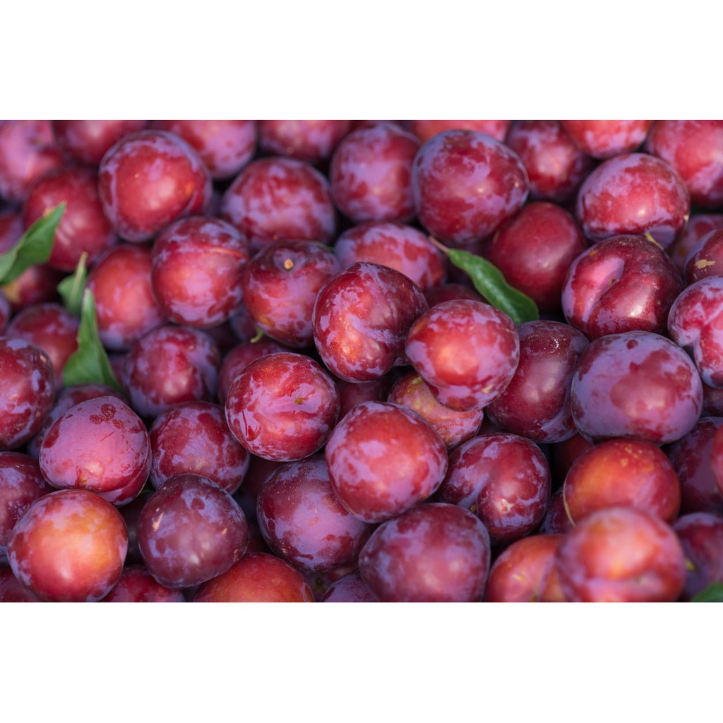 

Plum Merah untuk Diet 0.4 kg