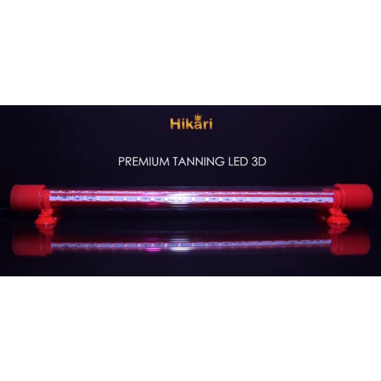 LAMPU TANNING HIKARI 3 DIMENSI PREMIUM T11 UKURAN 600 SAMPAI 1200 PRO 3 DIMENSI LED LAMPU TANNING ARWANA SUPER RED LAMPU TANNING LOUHAN CHANNA LAMPU TANNING 60 CM 80 CM 100 CM 120 CM LAMPU TANNING 1 METER