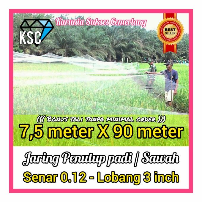JARING PADI / JARING EMPRIT / JARING PIPIT / JARING PENUTUP SAWAH PADI termurah