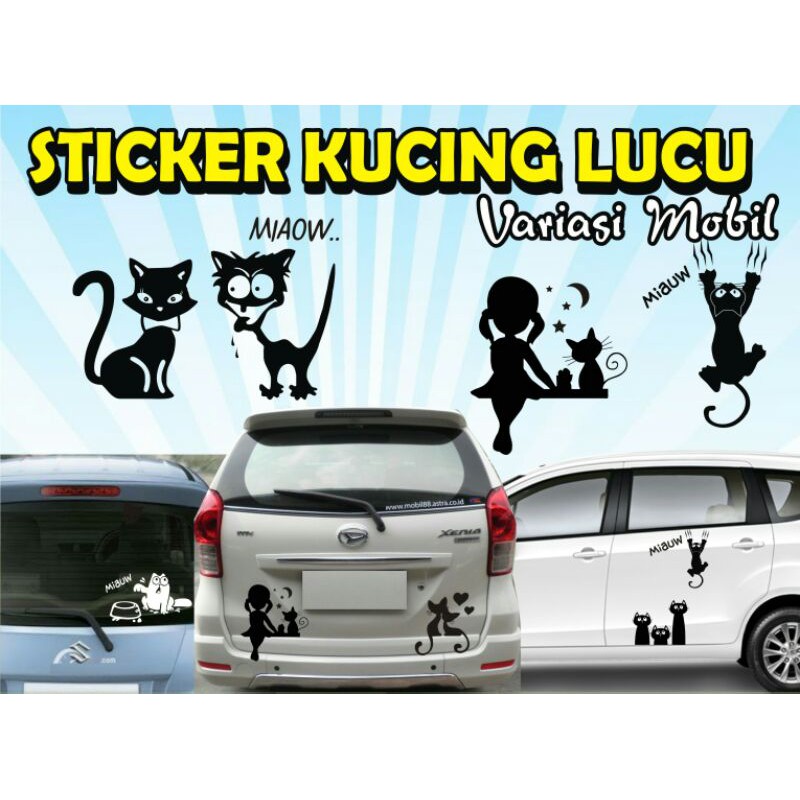 Sticker kucing lucu variasi mobil
