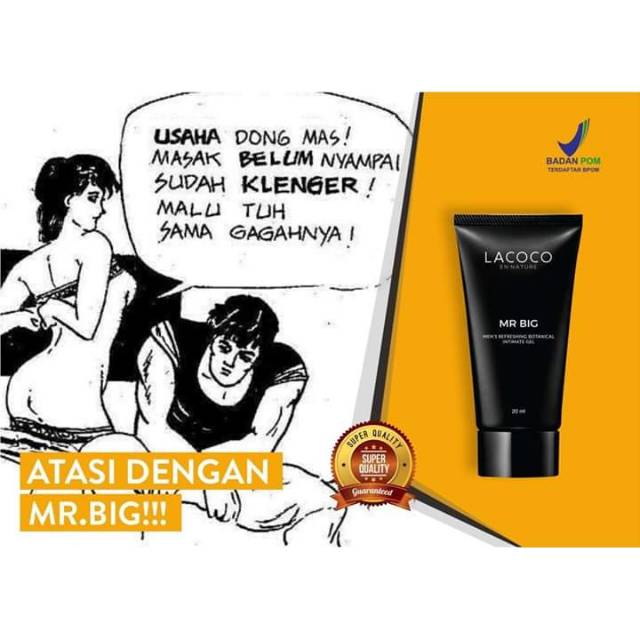 Mr.BIG pembesar vital pria