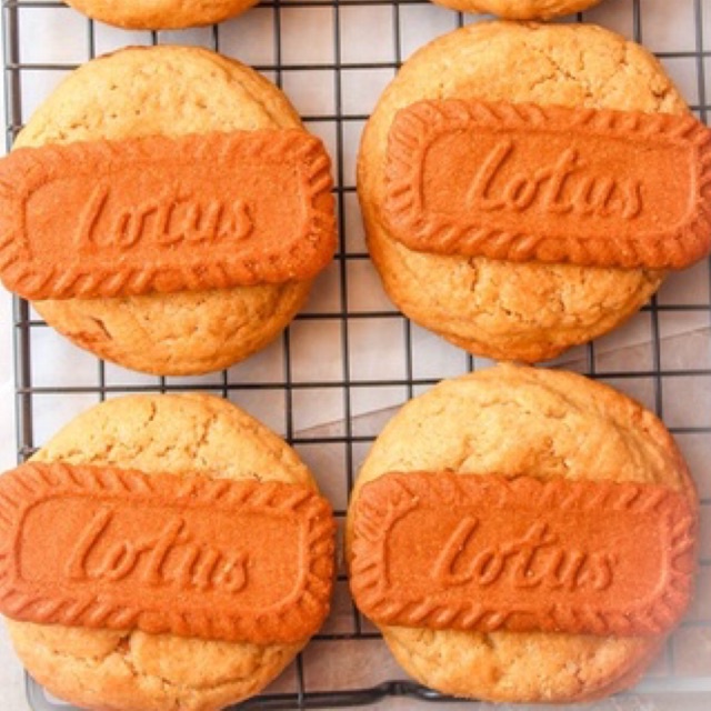 

Lotus Biscoff Soft Cookies