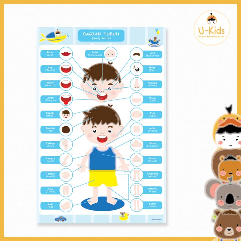 

Poster Edukasi Anak Belajar Mengenal Nama Anggota Tubuh Desain Lucu Terbaru Kekinian