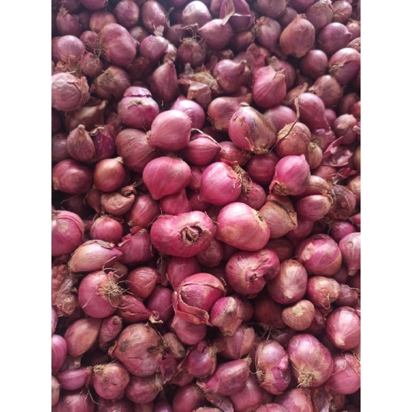 

Bawang Merah / Brambang 1kg