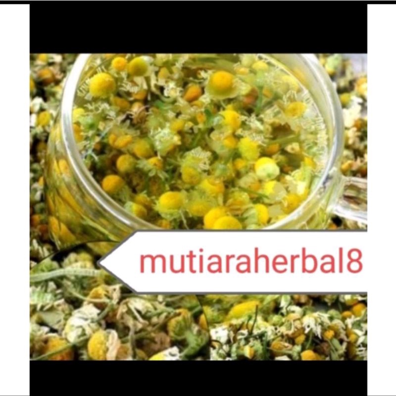 

Bunga chamomile kering l German chamomile l wangi tidak pahit 500gram