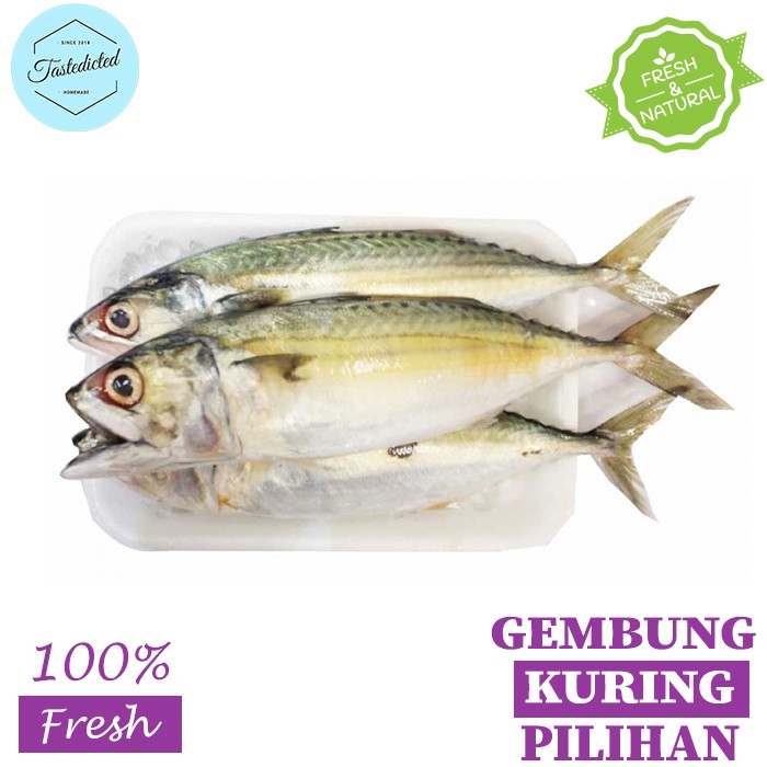 IKAN GEMBUNG KURING / IKAN KEMBUNG KURING / IKAN KEMBUNG REBUS MEDAN / IKAN GEMBUNG REBUS MEDAN 1KG