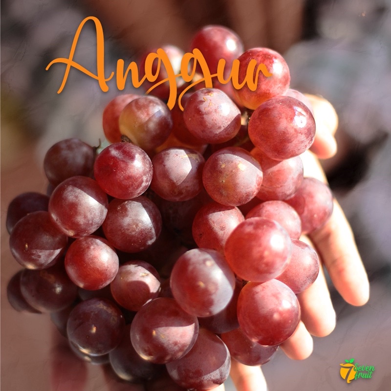 

anggur merah