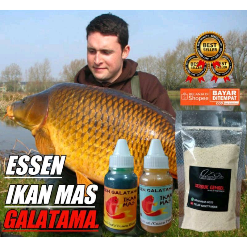 Essen IKAN MAS GALATAMA / essen jahat / essen R46 / essen ampuh / alat