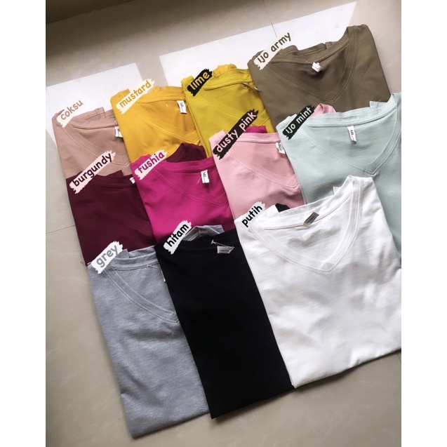 BASIC TSHIRT MANUELO V NECK