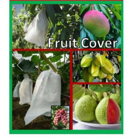 Fruit Cover/Bronsong buah tipe XL isi 100