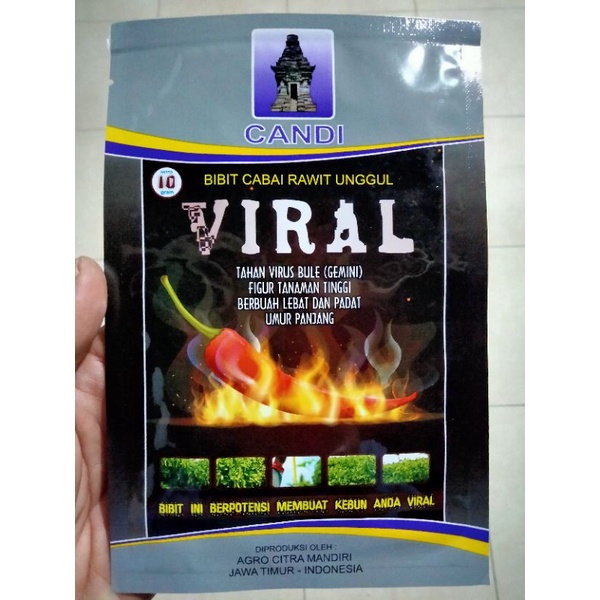 Benih Cabe Rawit VIRAL 10 Gram - Bibit Cabe VIRAL - CRM Viral Kaliber Ori212 ORI 212