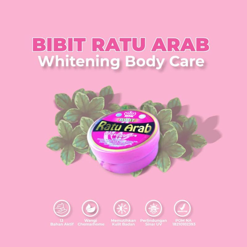 Bibit Ratu Arab Original BPOM Ori