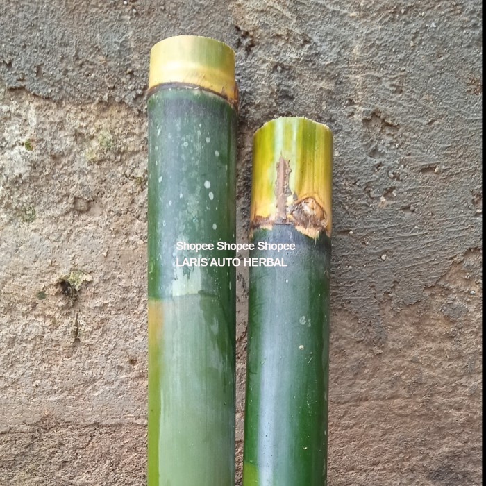 

Bambu untuk masak,nasi lemang atau kebutuhan memasak pake bambu lainya