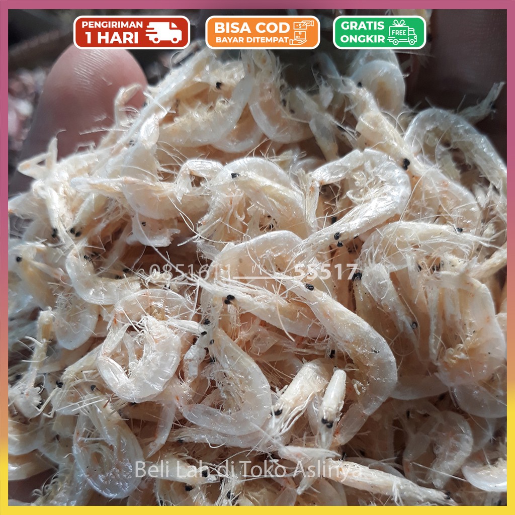 

Udang Rebon Asin, Rebon Jeruk Rebon Tawar 1 Kg 500gr 250gr / Rebon Asin Kasar 100% Fresh