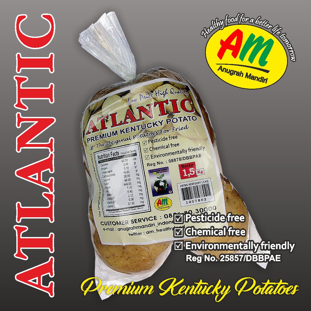 

Kentang Kentucky Super - ATLANTIC Kentucky Potatoes