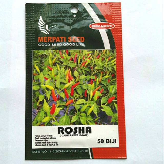 Benih Cabe Rawit Hijau ROSHA Merpati Seed