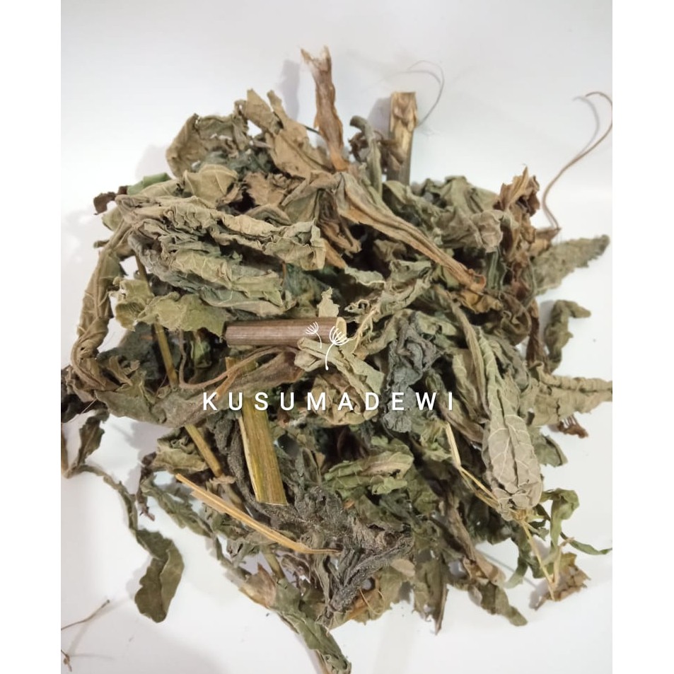 

Daun Lampenas / Tempuyung 100 gram
