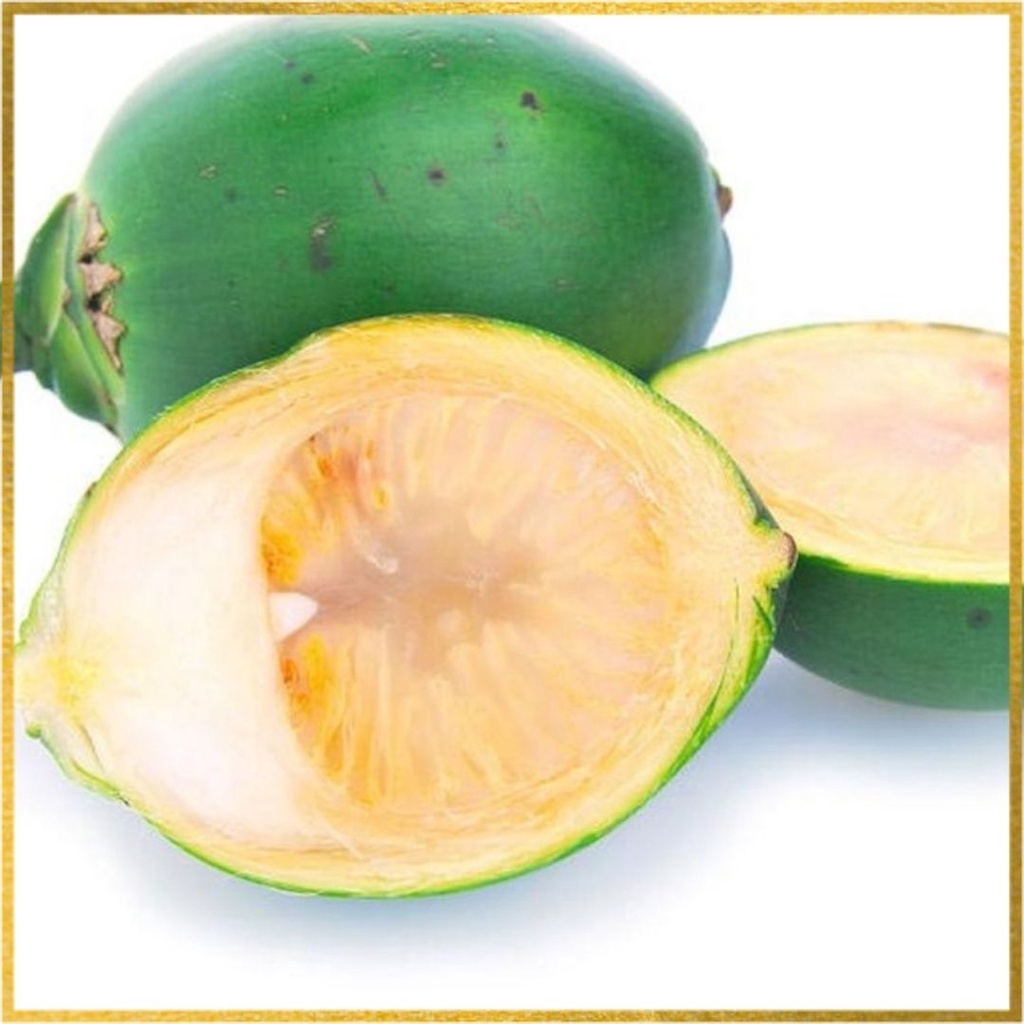 

Pinang muda segar hijau herbal stamina 250 gram