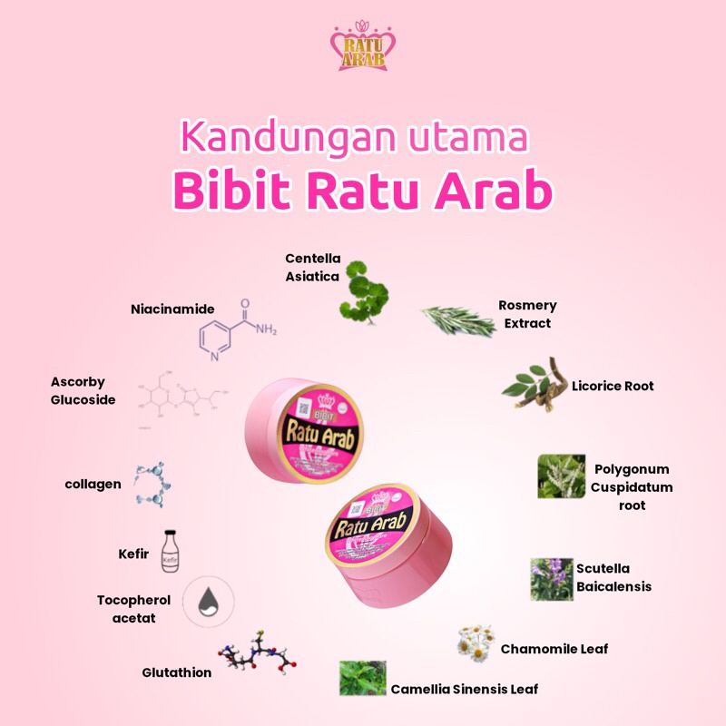 BIBIT RATU ARAB ( KEMASAN BARU) ORIGINAL 100% BPOM DAN HALAL WHITENING CARE/ BODY CARE/ BODY LOTION 