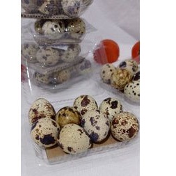 

Telur Puyuh rebus Bandung 100% baru di rebus isi 8 pcs