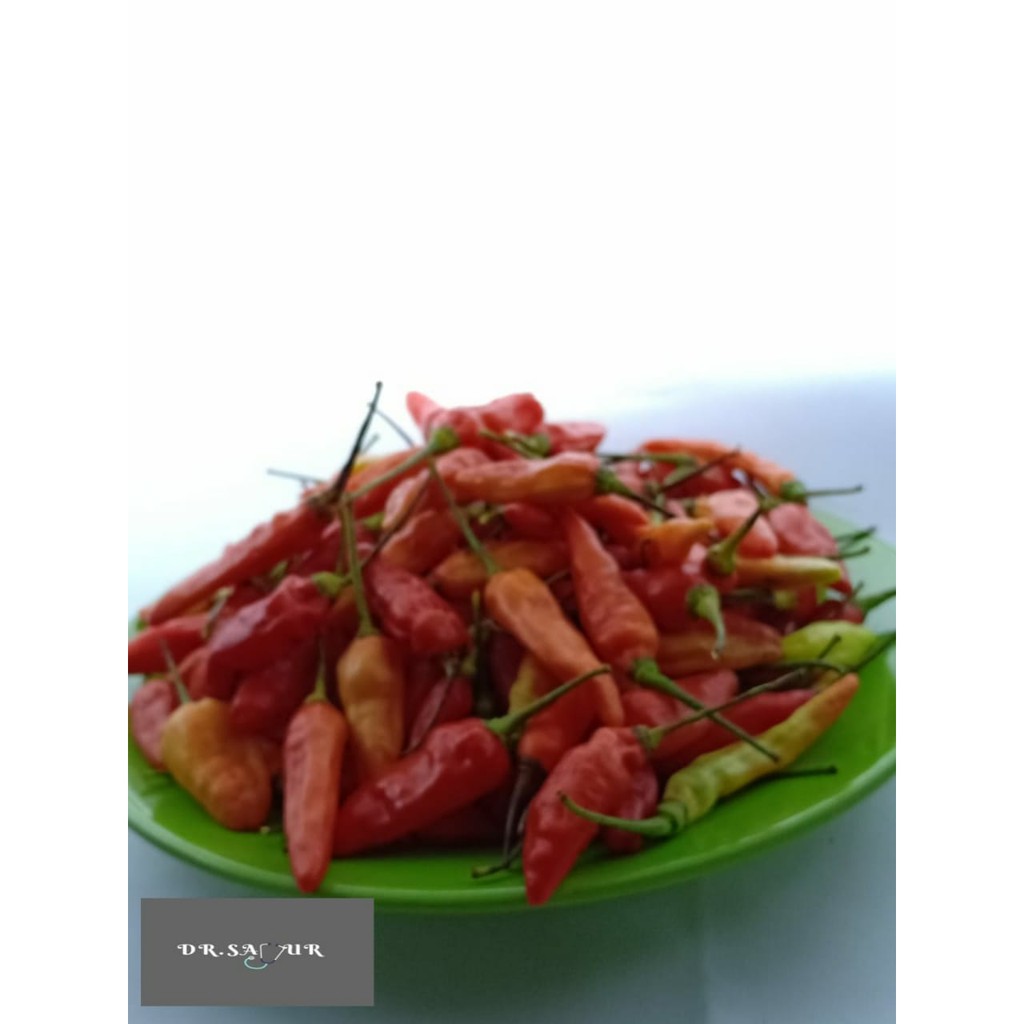 

Cabe Rawit Merah