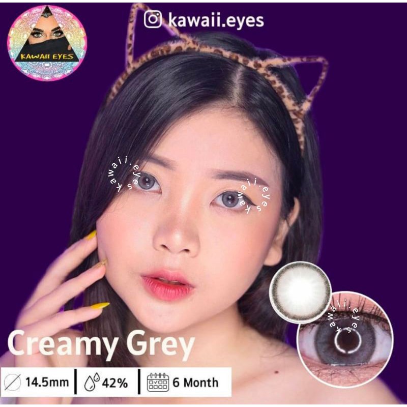 Softlens RECIPE CREAMY GREY/CHOCO BROWN/MUSTARD BROWN/WINE BLUE