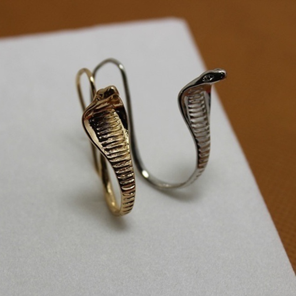 Hu Hu Hu Hu Hu Alat Bantu Pasang Kacamata♡ Anting Kait Gantung Desain Ukiran Ular Kobra Gaya Vintage Untuk Wanita