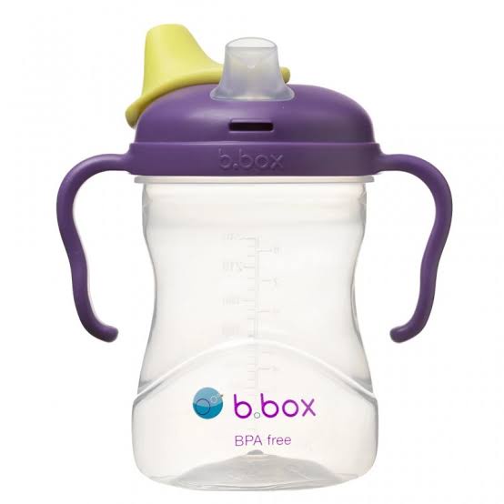 B.Box Spout Cup