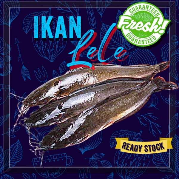 

IKAN LELE SEGAR Per 500 Gr