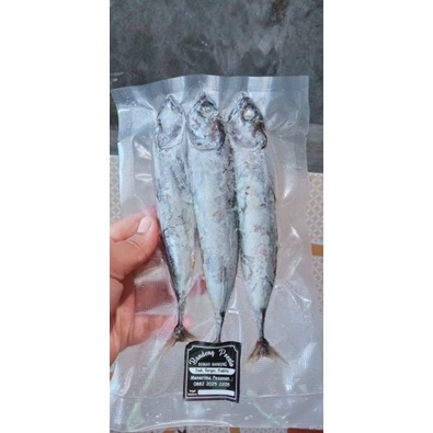 

ikan tongkol/ tongkol Frozen/ tongkol press