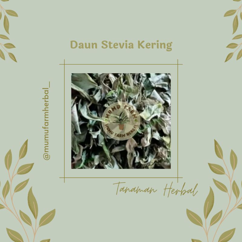 

Daun stevia kering murni alami 25gr