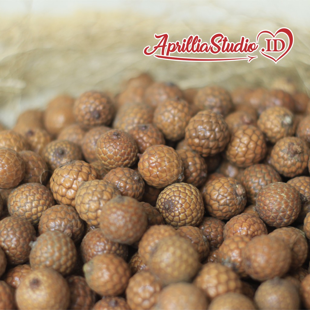 Bahan Kerajinan Untuk Dekorasi Rustic &amp; Craft Biji Rotan / 10 pcs