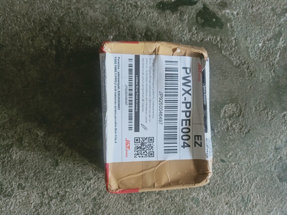 Bibit Porang Dorman | Katak Super Mini 700/ Biji