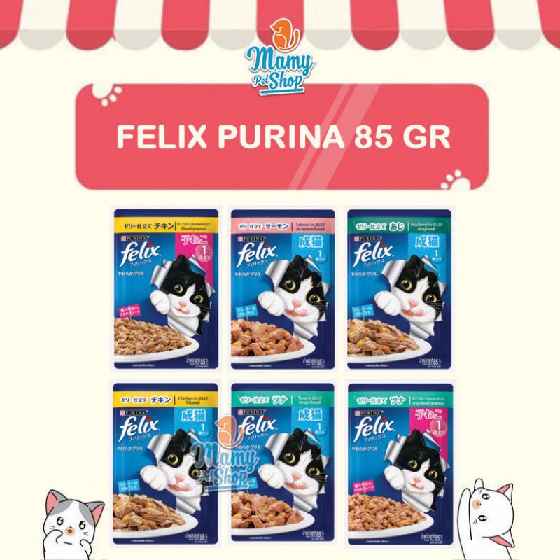 FELIX PURINA 85 GR