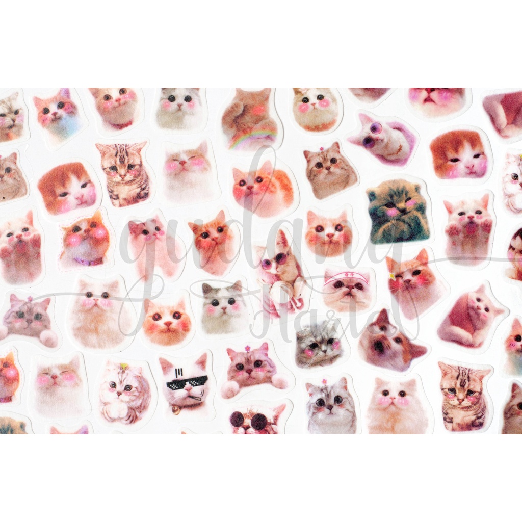 Stiker Washi Shy Cat Sticker Motif Kucing Lucu DIY GH 303111