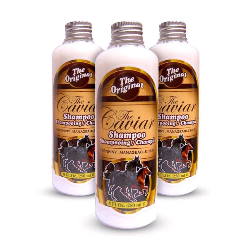 THE CAVIAR SHAMPOO - SHAMPO CAVIAR - SHAMPO KUDA