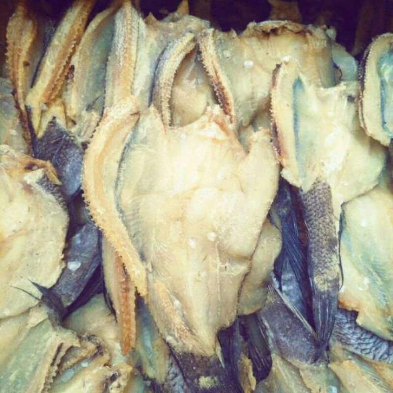 ikan asin gabus 1kg murah