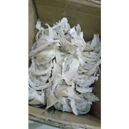 

sarang burung walet kotor / yenwo 10gram