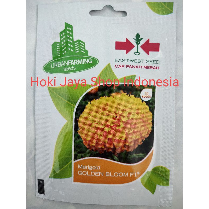 Benih Bunga Marigold Golden Bloom F1 Cap Panah Merah 10 Seeds