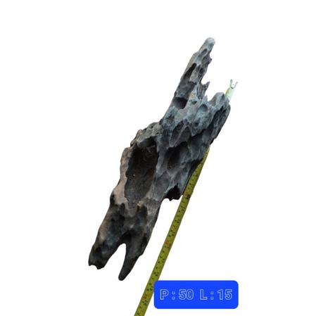 kayu aquascape hutan