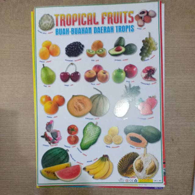 Poster Abjad / Hewan / Buah / Angka / Hijaiyyah