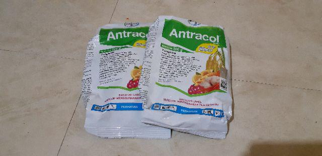 [bisa Cod] Fungisida Antracol 250 Gr Obat Tanaman Obat Jamur Obat Anggrek