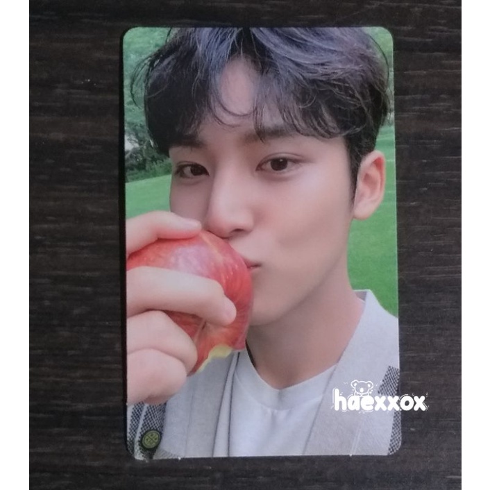BOOKED PC SEVENTEEN MINGYU SOCIAL CLUB