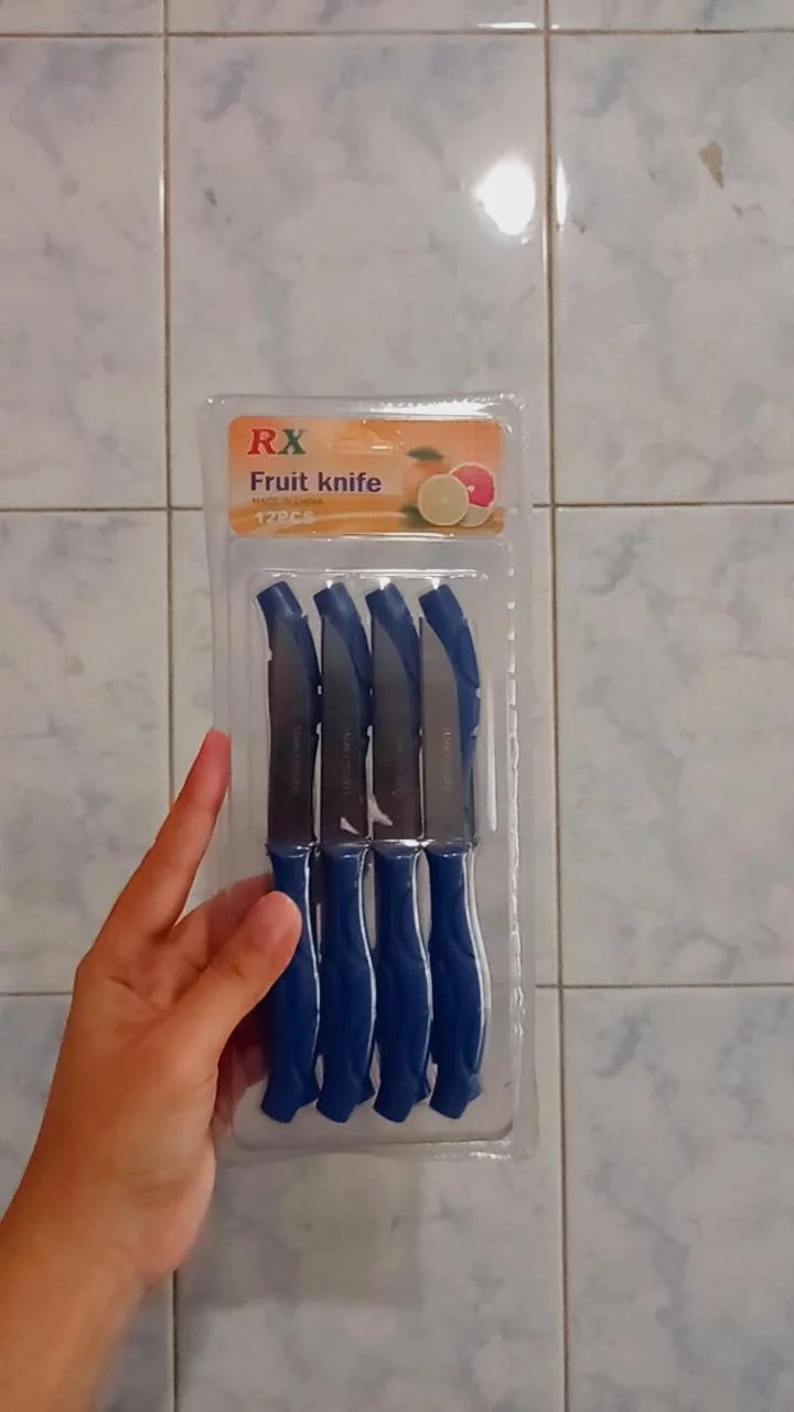 Pisau Buah Stainless Set Isi 12 Pcs Pisau Dapur Mini Pisau