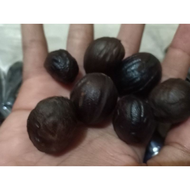 

bijipala