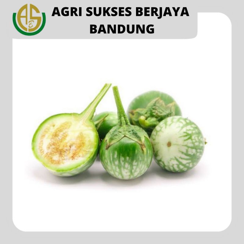 

Terong Lalap Hijau - 250gr / 250 gram